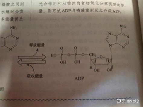 ahf|AHF是什么化学物质？